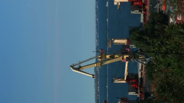 货物运输和物流 载货起重机装载船只 垂直录像 配备集装箱和工作的工业起重机的海港 — 图库视频影像