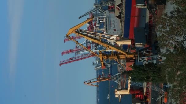 配备集装箱和工作起重机的海港装卸船舶 垂直录像 在港口工作的工业起重机 货物运输和物流概念 — 图库视频影像