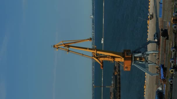 在海港工作的起重机 配备起重机装卸货物的海港 垂直录像 货物运输 逻辑概念 — 图库视频影像