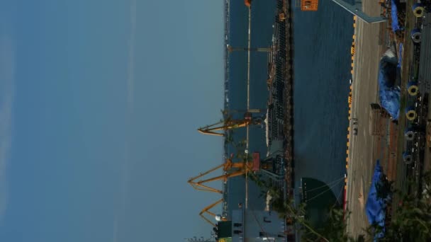 货运港 时间流逝 垂直录像 在港口工作的工业起重机 运输和后勤概念 — 图库视频影像