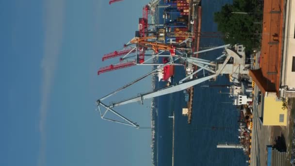 有货船停泊在港口的海港 时间流逝 垂直录像 有起重机 集装箱和船只的港口 货物运输后勤概念 — 图库视频影像