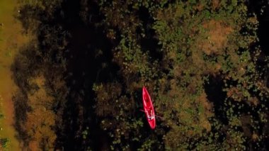 Yazın nehirde kayak yaparken, manzarası çok güzel. Su sporu aktivitesi. Dikey video. Aktif bir insan yazın gölde kanoyla kürek çekiyor. Altın gün batımı ışıklarında turist kanosu. Seyahat maceraları