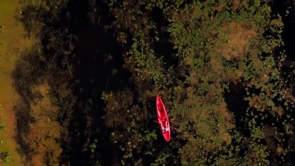Каякинг Реке Летом Вид Сверху Водные Виды Спорта Вертикальное Видео — стоковое видео