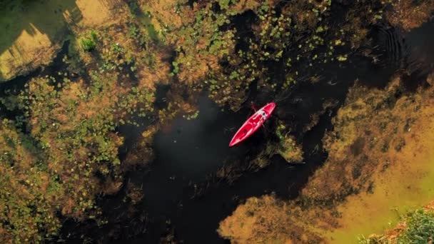 Kayak Persona Fiume Alla Sera Estate Turismo Attivo Remare Sull — Video Stock