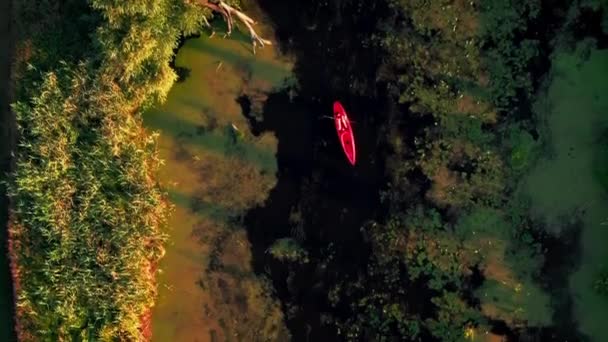 Kayak Femminile Attivo Nel Fiume Estate Donna Turista Che Remava — Video Stock