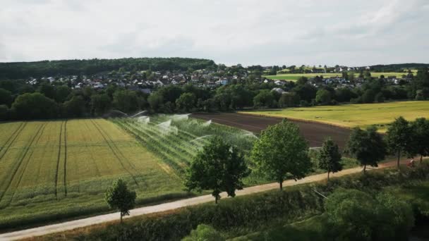 Bewässerungssysteme Arbeiten Auf Einem Grünen Landwirtschaftlichen Feld Landwirtschaft Tropft Bewässerungssystem — Stockvideo