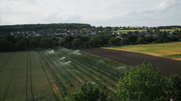 Vattenspridare Som Sprutar Vatten Gröna Fruktträd Sommaren Bevattningssystem Modern Jordbruksteknik — Stockvideo