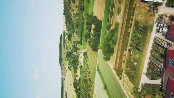 Campos Agrícolas Prados Verão Vista Aérea Drones Campos Verdes Aldeia — Vídeo de Stock