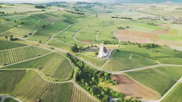 中央に教会のあるヴィニヤード渓谷 緑のブドウ畑とプランテーションの空中ビュー 夏の田舎風景 ブドウ畑の農業分野 — ストック動画