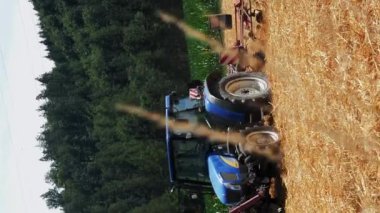 Traktör, yazın tarlada buğday hasadını birleştiriyor. Dikey video. Tarım işi. Yulaf tarlasında çalışan tarım ağır makineleri. Hasat mevsimi. Hasat mevsimi