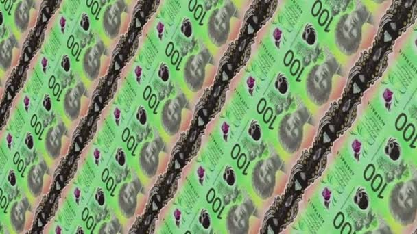 Австралийские Доллары Вертикальное Видео Австралийские Банкноты 100 Долларов Бесшовная Петля — стоковое видео