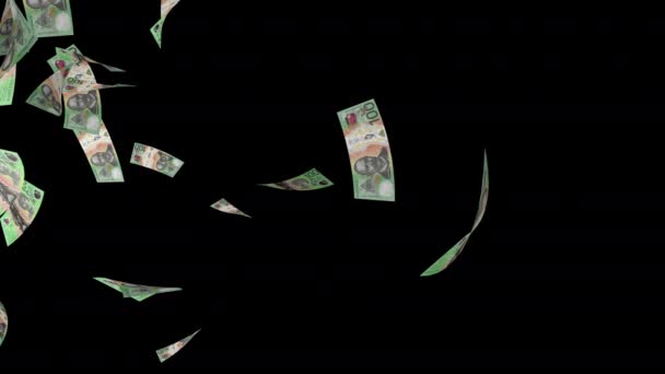 紙幣が下落する マネーレイン オーストラリアドル紙幣の落札 ビジネスの概念 アルファチャンネル 3Dレンダリング アニメーション バーティカルビデオ — ストック動画