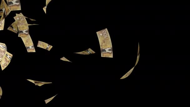Money Rain Canadian Dollars Paper Money Falling Cad Banknotes Falling Stock Footage