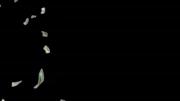 マネーレイン 100ドル紙幣が下落する アメリカの通貨 ドル紙幣が下がっている 3Dレンダリング アルファチャンネル アニメーション ビジネスと金融のコンセプト バーティカルビデオ — ストック動画