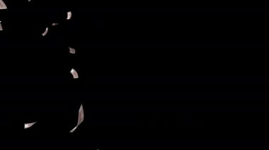 KPW Kuzey Kore Won 'ları düşüyor. Kuzey Kore 'nin para birimi. KPW kağıt para banknotları. Kuzey Kore Won 'u nakit para. Finans ve iş. 3 boyutlu görüntüleme. Alfa Kanalı. Dikey video