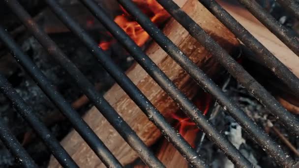 Drewno Płonie Płomieniach Przygotowanie Grilla Lub Grilla Drewno Opałowe Grillu — Wideo stockowe