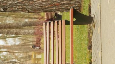 Paltolu ve fularlı kadın sonbahar parkında bankta oturuyor ve kitap okuyor. Genç ve çekici bir bayan şehir parkında dinleniyor, sıcak havanın tadını çıkarıyor. Dikey video