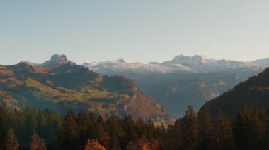 Sonbaharda altın renkli ağaçlarla İsviçre dağlarının zirveleri. Sonbaharda İsviçre Alpleri. Ufuktaki karlı dağ sırası. Sarı ve yeşil ağaçlarla kaplı güzel bir dağ manzarası. Sonbahar sahnesi