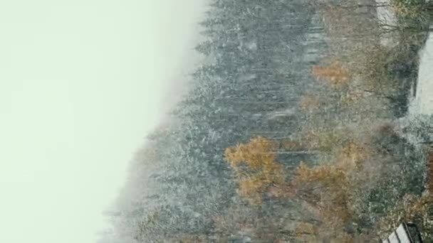 Första Snöflingorna Skogen Snö Faller Gröna Tallar Vackert Vinterlandskap Vinterlov — Stockvideo