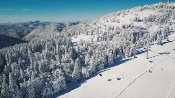 Malebná Zimní Scéna Pokrytá Sněhovými Borovicemi Cedrovými Lesy Lyžařském Středisku — Stock video