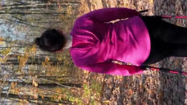 Скандинавські Прогулянки Осінньому Лісі Молода Пухка Жінка Тренується Спортивними Полюсами — стокове відео