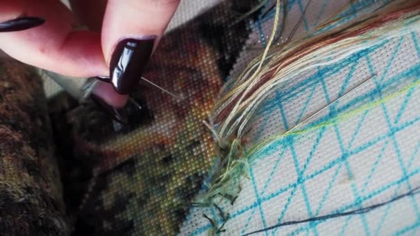 Женщина Вышивает Картину Природы Ручная Вышивка Вышивка Вертикальное Видео — стоковое видео