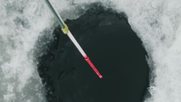 Fiskaren Fångar Fisk Sjön Vintern Människan Fiskar Ett Ishål Vinterfiske — Stockvideo