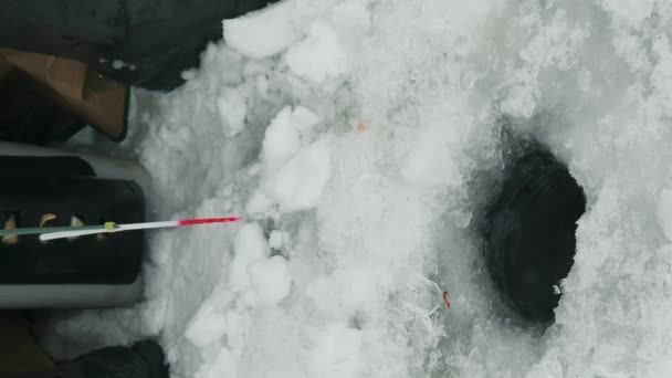 渔夫坐在冰洞边钓鱼 人们用钓竿在结冰的湖上捕鱼 垂直录像 — 图库视频影像