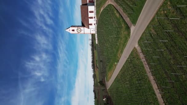 春のブドウ畑に囲まれた丘の上の町役所の空中展望 バーティカルビデオ フィールドと丘で自然の風景を描く — ストック動画
