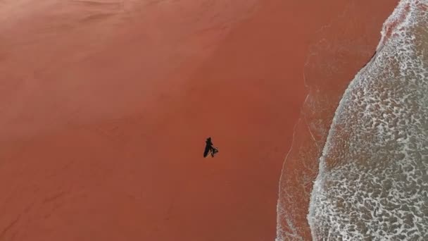 Surfer Deską Surfingową Spacerującą Piaszczystej Plaży Fale Docierające Brzegu Morza — Wideo stockowe