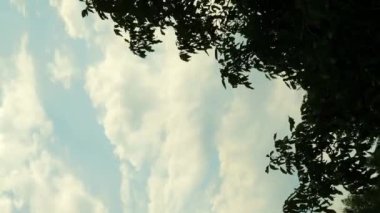 Beyaz kabarık bulutlu açık gökyüzü zamanı. Mavi gökyüzü ve ağaçlarla dolu güzel doğa manzarası. Dikey video