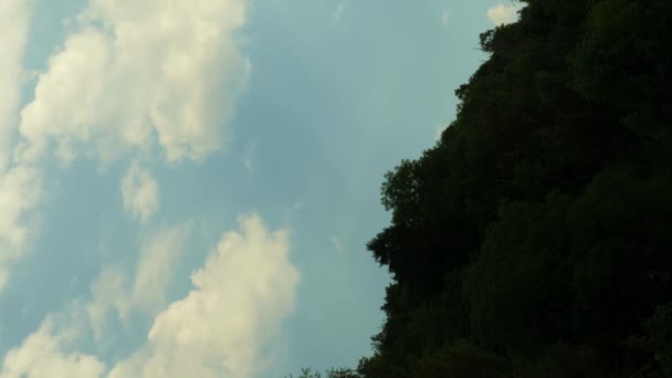 美丽的云彩在蓝天中飘扬 时间流逝 白色蓬松的云彩在晴朗的天空中快速移动 时光流逝的树木和天空 垂直录像 — 图库视频影像