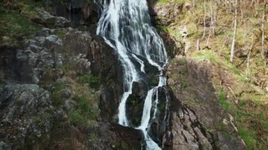 Todtnauer Şelalesi Kara Orman, Güney Almanya. Dağlardan akan su. Schwarzwald 'da vahşi şelale, Baden-Wurttemberg