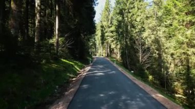 Almanya 'da yeni asfalt araba yolu. Yeni inşa edilmiş dar bir yol ile ormanda uçuyor. Almanya 'da, Kara Orman' da resimli doğa manzarası