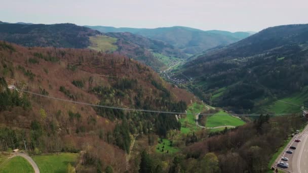 Felfüggesztő Híd Dél Schwarzwaldban Németországban Hagebrucke Fekete Erdőben Festői Természet — Stock videók