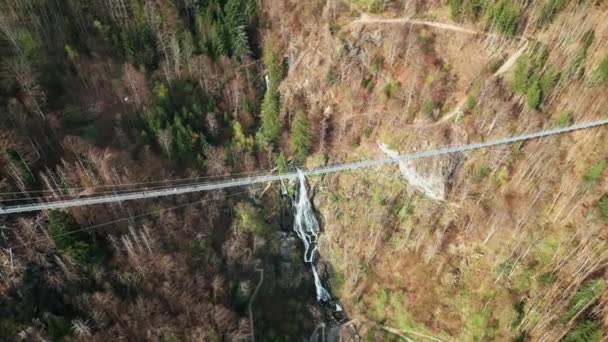 Hangebrcke Légi Képe Todtnauer Wasserfall Felfüggesztő Híd Németországi Fekete Erdőben — Stock videók