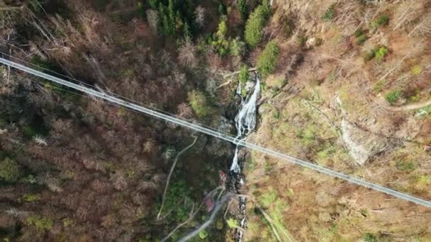 Cascade Pittoresque Todtnau Allemagne Sud Pont Suspendu Forêt Noire Allemagne — Video