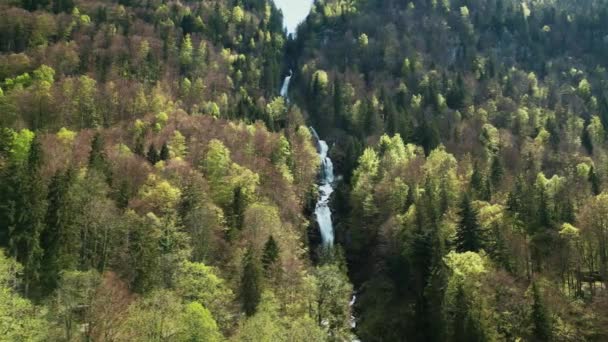 スイスのベルン オーバーランドの美しいジャスティスバッハ滝 巨大な滝のイディラックな自然の風景 山から流れる水流 ヨーロッパで人気の旅行先 — ストック動画