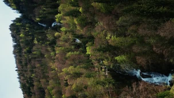 Cascada Giessbach Suiza Enorme Arroyo Agua Que Fluye Desde Montaña — Vídeo de stock