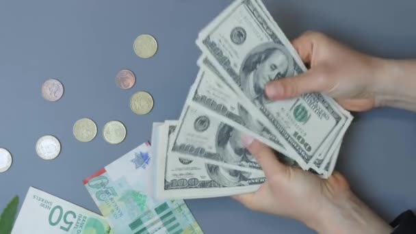 Manos Mujer Sosteniendo Billetes Cien Dólares Las Mujeres Cuentan Dinero — Vídeos de Stock