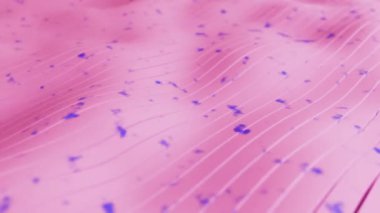 Pembe dalgalı çizgi hareketi. İnce çizgiler sallanıyor, kusursuz döngü animasyonu. Veri teknolojisi ve bilgisayar ağı. 3 Boyutlu Hazırlama