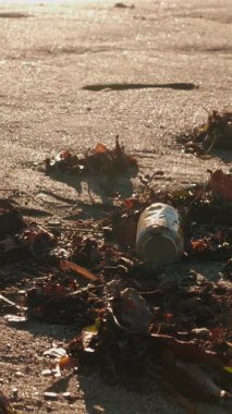 Close up of hands in protective blue gloves collecting plastic rubbish into bag on polluted beach. Woman picking up trash on beach. Environmental problem. Vertical video