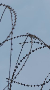 Fence with barbed wire against blue sky. Restricted area of jail. Restriction of freedom. Vertical video