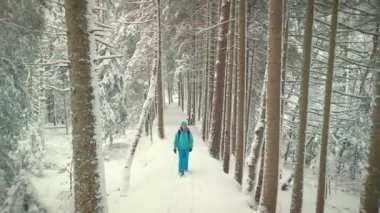 Kış ormanlarında çam ağaçlarının arasında karlı patikada yürüyen bir kadın. Ormanda yürüyüş yapan kadın bir gezgin, inanılmaz doğanın tadını çıkarıyor. Seyahat ve turizm kavramı