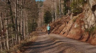 Young woman hiking in forest at autumn, enjoying sunny fall day outdoors. Female hiker in sportswear with backpack walking in fall forest, exploring nature. Travel and tourism