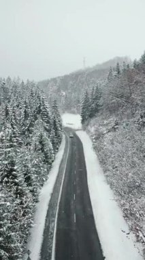Güney Almanya 'daki Kara Orman' da asfalt yolda giden araba. Güzel doğa manzarası. Dikey video