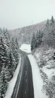 Karlı kış ormanları ve tepeler boyunca boş asfalt yol. İnsansız hava aracı dar virajlı yolda dağ geçidinden uçuyor. Yağan karla birlikte inanılmaz doğa manzarası. Dikey video