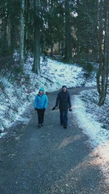 Happy smiling couple walking in winter forest. Smiling cheerful friends walking in snowy pine tree forest at sunny frosty day and talking. Travellers hiking in forest. Vertical video