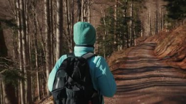 Mavi spor ceketli ve sırt çantalı şapkalı bir kadın güneşli bir günde sonbahar ormanlarında yürüyüş yapıyor. Sonbahar ormanlarında altın ve sarı yapraklarla yürüyen kadın.