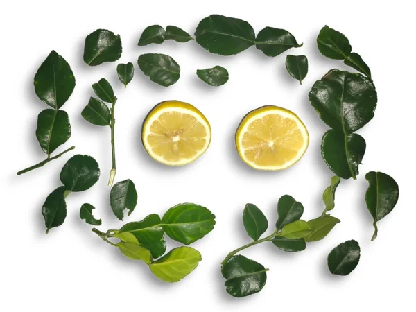 Лимонні Плоди Листям Ізольовані Лимон Цілий Половина Шматочок Листя Білому — стокове фото
